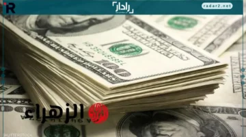 الدولار يرتفع أمام الجنيه المصري ويصل لأعلى مستوى في 2024
